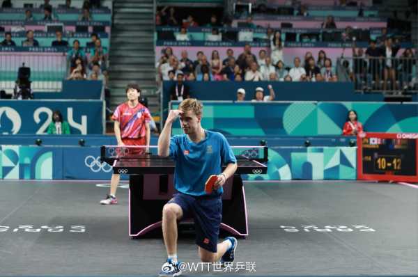 到脚踝韧带 到脚踝韧带